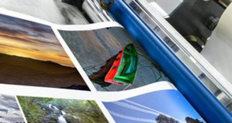 druk plakatow thumbs